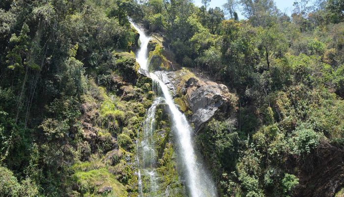 Kitulo National Park - Giraffe Expeditions Tanzania