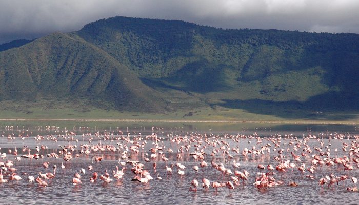 lake manyara3