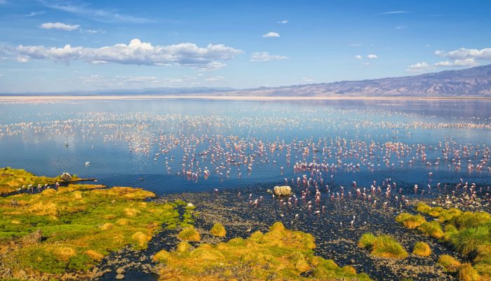 lake natron2
