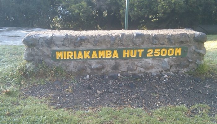 mirikamba3