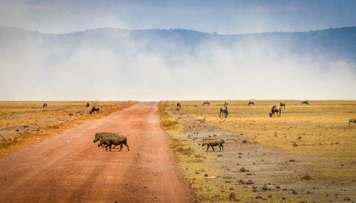 ngorongoro areas