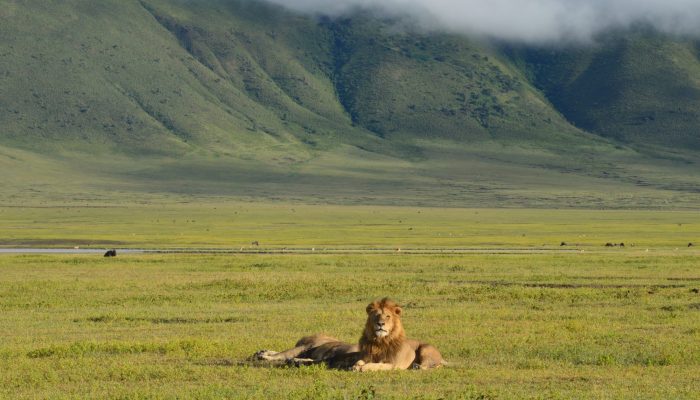 ngorongoro3