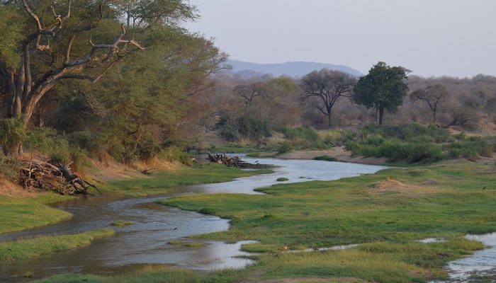 ruaha11